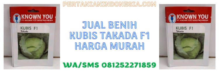 pertanian indonesia,jual,benih kubis,benih kubis takada f1,murah